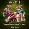 About Pinche Mix 3 Song