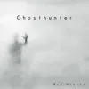 About Ghosthunter Song