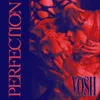 About Perfection Song