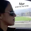 About שדות של אירוסים Song