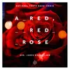 About A Red, Red Rose Song