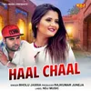 About Haal Chal Song