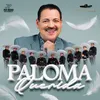 About Paloma Querida Song