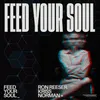 About Feed Your Soul Song