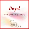 About Sürgün Aşkımız Song