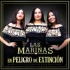 About En Peligro de Extincion Song