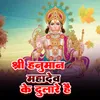About Shri Hanuman Mahadev Ke Dulare Hai Song