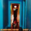 About Sunshine Hides Song