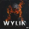 About Wylin Song