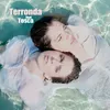 About Terronda Song