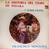La Historia del Tigre de Payara