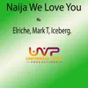 About Naija We Love You Song