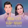 About Tình Cờ Gặp Nhau Song