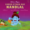 About Sabko Pyara Hai Nandlal (Krishna Bhajan) Song