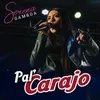About Pal Carajo Song
