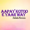 About Aapay Kotoo E Yaar Way Song