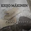 About Palanen maata Song