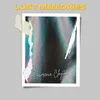 About Lost Memories Song