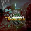 About Por Ciudades y Ranchos Song