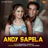 Andy Sapela