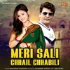 About Ho Meri Saali Chhail Chhabili Song