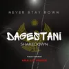 About Dagestani Shakedown Song