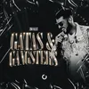 About Gatas & Gangster´s Song