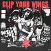 About Clip Your Wings Song