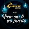 About Mix Vivir Sin Ti No Puedo: Vivir Sin Ti No Puedo / Valiente Song