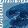 Cavalo do Cão