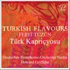 About Türk Kapriçyosu Song