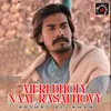 About Meri Dholy Naal Rasai Hovy Song