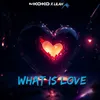 About What is Love Song