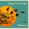 About High in the Sky Song