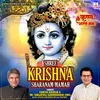 About Shree Krishna Sharanam Mamah Song
