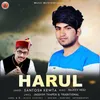 About Harul Song