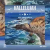 About Hallelujah Song