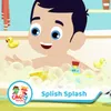 About Splish Splash Song