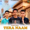 About Tera Naam Song