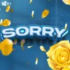 Sorry