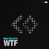 About WTF (What The Fu*k) Song