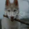 Tuláci