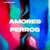 About Amores Perros Song