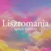 About Lisztomania Song