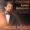 Hastane Önünde İncir Ağacı