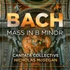 Mass in B Minor, BWV 232 - Osanna, Benedictus, Agnus Dei et Dona nobis pacem: XXVI. Agnus Dei