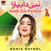 Nabi Da Pyara