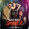 About Gali Gali Shaher Song