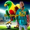 Les Aigles du Mali