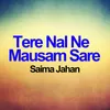 About Tere Nal Ne Mausam Sare Song